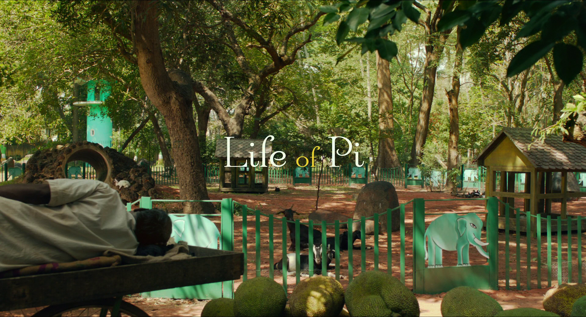 Life of Pi
